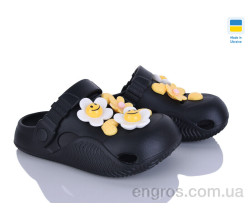 Кроксы Golden Lion